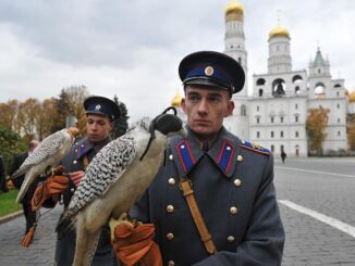 Военнослужащие держат белых кречетов, изъятых у контрабандистов таможенниками в аэропорту Домодедово