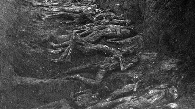 Фотография расстрелянных немцами советских граждан, обнаруженных в районе города Сокаль Львовской области после его освобождения.