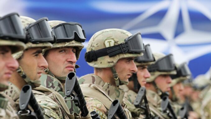 Солдаты стран НАТО© РИА Новости . Михаил Палинчак